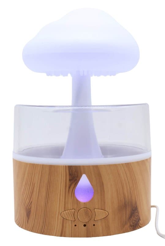 Image 1 de Champignon de Pluie  26cm